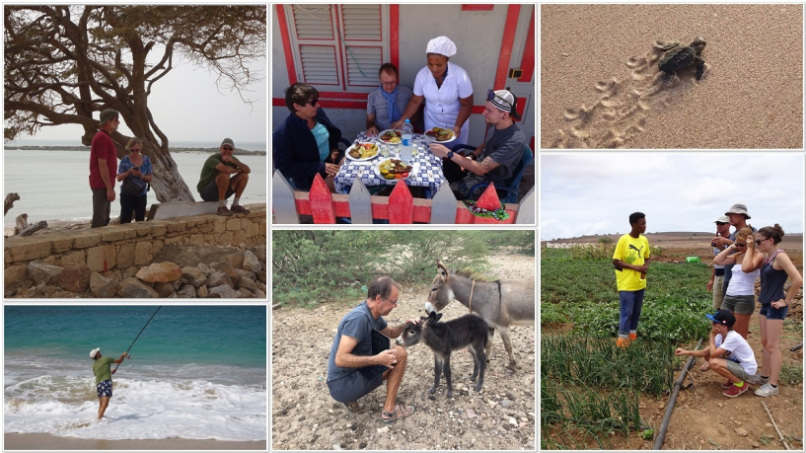 leisure fishing, walking, cooking