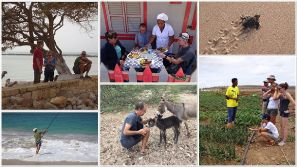 wandelen vissen duiken